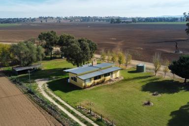 Other (Rural) For Sale - NSW - Billimari - 2804 - Escape to the country to this renovators delight!  (Image 2)