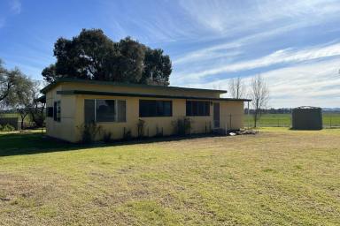 Other (Rural) For Sale - NSW - Billimari - 2804 - Escape to the country to this renovators delight!  (Image 2)