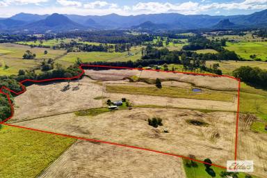 Acreage/Semi-rural Sold - NSW - Upper Lansdowne - 2430 - FORTY ACRES OF OPPORTUNITY  (Image 2)