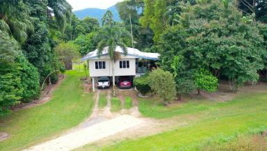 House For Sale - QLD - Rockingham - 4854 - TullyRiverside Retreat for Sale  (Image 2)