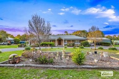House For Sale - VIC - Stawell - 3380 - Spacious Family Home Right On The Edge Of Town  (Image 2)