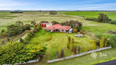 Livestock For Sale - SA - Kongorong - 5291 - Intensive 288.5 Ha Irrigation Property in a fantastic location  (Image 2)