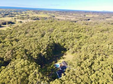 House For Sale - NSW - Oxley Island - 2430 - PEACEFUL AND PRIVATE AMONGST THE TREES  (Image 2)