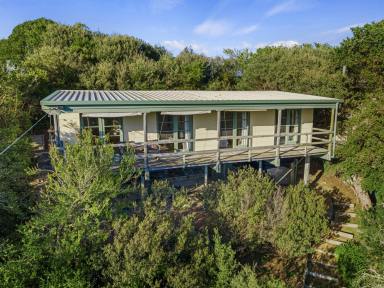 House For Sale - VIC - Sandy Point - 3959 - High-set home with views to Inlet  (Image 2)