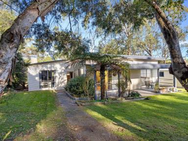 House For Sale - VIC - Foster - 3960 - Character cottage opposite bushland reserve  (Image 2)