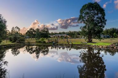 House Sold - NSW - Paterson - 2421 - This Grand Semi - Rural Retreat Awaits You!  (Image 2)