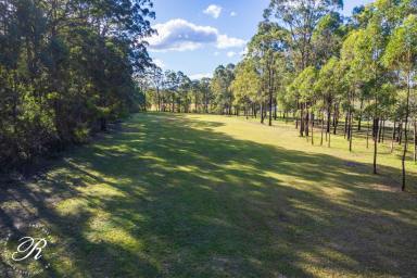 Residential Block For Sale - NSW - Coolongolook - 2423 - 14.53-hectare property in the conveniently located town of Coolongolook  (Image 2)