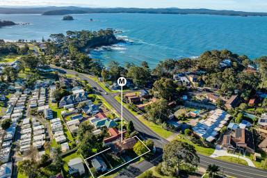 House For Sale - NSW - Sunshine Bay - 2536 - Expansive Beachside Block, Two Dwellings  (Image 2)