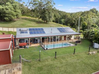 House For Sale - QLD - Mount Pleasant - 4521 - Escape to the Country  (Image 2)