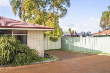 House Sold - WA - West Busselton - 6280 - Family-friendly Location Close to the Beach  (Image 2)