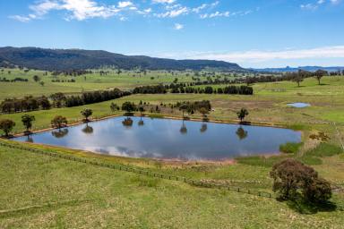 Mixed Farming For Sale - NSW - Rylstone - 2849 - RARE LAND OPPORTUNITY ON TOWNS DOORSTEP  (Image 2)