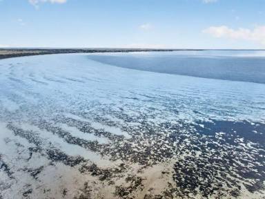 Other (Rural) For Sale - SA - Moonta Bay - 5558 - YOUR OWN PRIVATE PATCH OF NATURE  (Image 2)