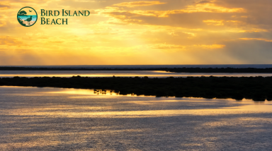 Other (Rural) For Sale - SA - Moonta Bay - 5558 - BIRD ISLAND BEACH - YOUR OWN PRIVATE PATCH OF NATURE (Image 2)