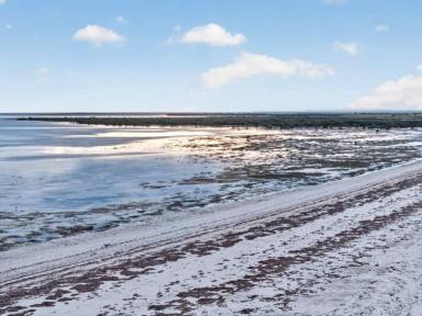 Other (Rural) For Sale - SA - Moonta Bay - 5558 - YOUR OWN PRIVATE PATCH OF NATURE  (Image 2)