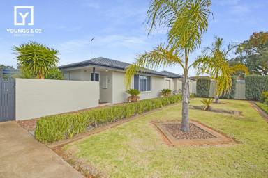 House For Sale - VIC - Mooroopna - 3629 - Large 5 Bedroom Family Home on a Double Block With Plenty of Shedding  (Image 2)