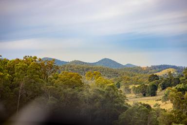 Acreage/Semi-rural For Sale - QLD - Kandanga Creek - 4570 - Private Sanctuary with Breathtaking Surroundings  (Image 2)