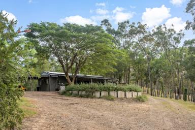 Acreage/Semi-rural Sold - QLD - Kandanga Creek - 4570 - Private Sanctuary with Breathtaking Surroundings  (Image 2)