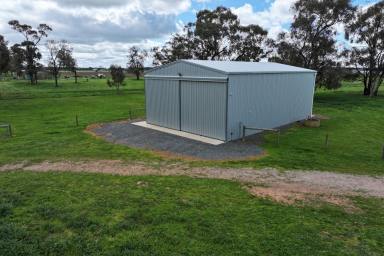 Lifestyle For Sale - VIC - Rochester - 3561 - 50 ACRES WITH BUILDING PERMIT  (Image 2)