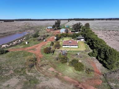Cropping For Sale - NSW - West Wyalong - 2671 - A Perfect Mixed Farm In A Private Setting  (Image 2)