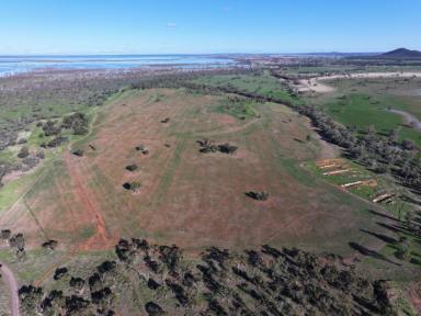 Mixed Farming For Sale - NSW - Forbes - 2871 - Unique Property With Plenty Of Feed  (Image 2)