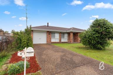 House Sold - NSW - Singleton - 2330 - Four bedrooms on corner block with side access  (Image 2)