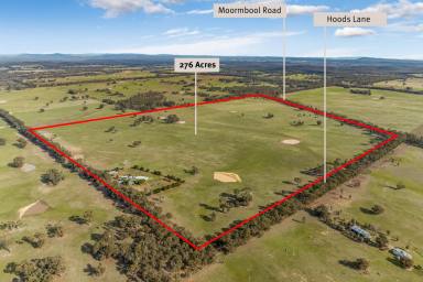 Other (Rural) For Sale - VIC - Moormbool West - 3523 - 276 Acres /111 Hectares (Approx) – Homestead, Extensive Shedding and Abundant Water  (Image 2)