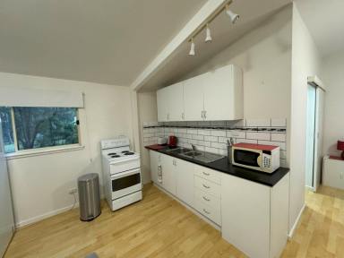 Unit For Lease - NSW - Mitchells Island - 2430 - ENJOY THE PEACE & TRANQUILITY  FULLY FURNISHED GRANNY FLAT  (Image 2)