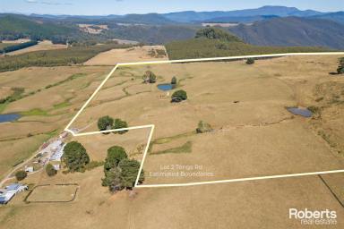 Other (Rural) For Sale - TAS - Preston - 7315 - Fantastic views, lifestyle property (Image 2)