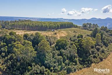 Other (Rural) For Sale - TAS - Preston - 7315 - Fantastic views, lifestyle property  (Image 2)