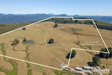 Other (Rural) For Sale - TAS - Preston - 7315 - Fantastic views, lifestyle property  (Image 2)