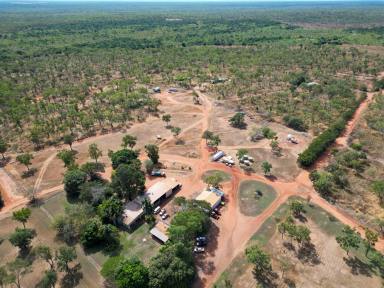 Cropping For Sale - NT - Douglas-daly - 0822 - IRRIGATED CROPPING DEVELOPMENT OPPORTUNITY  (Image 2)