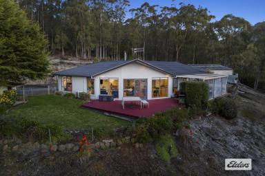 House For Sale - TAS - Penguin - 7316 - THE COMPLETE PACKAGE!  (Image 2)