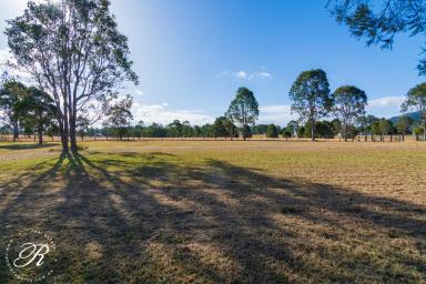 Residential Block Sold - NSW - Gloucester - 2422 - Location Location Build Your Dream Home  (Image 2)