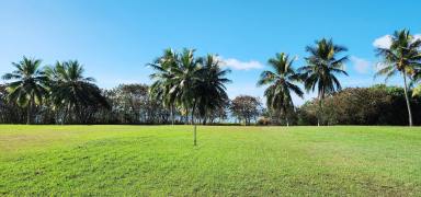 Residential Block For Sale - QLD - Cardwell - 4849 - Absolute beachfront allotment opportununity at Port Hinchinbrook  (Image 2)