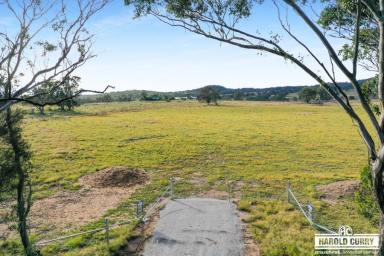 Residential Block Sold - NSW - Tenterfield - 2372 - 'Moreview' .....  (Image 2)