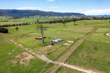 Mixed Farming For Sale - NSW - Rylstone - 2849 - "Hoppynge Farm"  (Image 2)