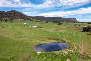 Mixed Farming For Sale - NSW - Rylstone - 2849 - "Hoppynge Farm"  (Image 2)