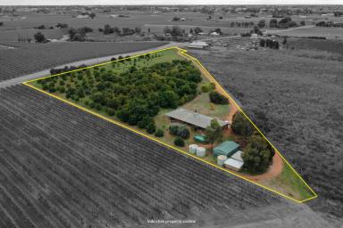 House Sold - VIC - Red Cliffs - 3496 - 5 & 1/2 ACRE HOBBY FARM WITH INCOME  (Image 2)