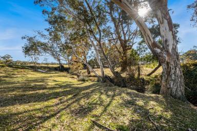 Residential Block For Sale - VIC - Mandurang South - 3551 - Build Your Dream Country Lifestyle Now - Title, Fully Fenced, Zoned RLZ!  (Image 2)
