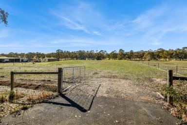 Residential Block For Sale - VIC - Mandurang South - 3551 - Build Your Dream Country Lifestyle Now - Title, Fully Fenced, Zoned RLZ!  (Image 2)
