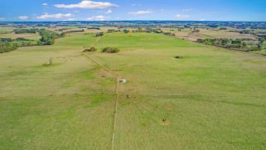 Livestock For Sale - VIC - Cudgee - 3265 - Investment and Development country on Warrnambool’s Fringe  (Image 2)