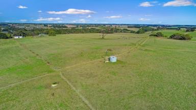 Livestock For Sale - VIC - Cudgee - 3265 - Investment and Development country on Warrnambool’s Fringe  (Image 2)