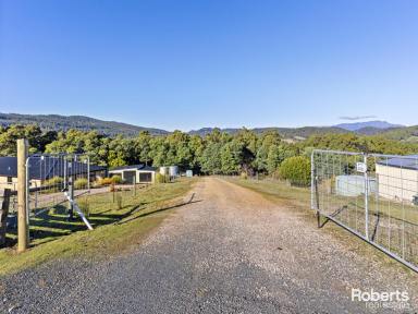 Residential Block For Sale - TAS - Lower Barrington - 7306 - Escape To The Country  (Image 2)