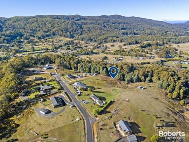 Residential Block For Sale - TAS - Lower Barrington - 7306 - Escape To The Country  (Image 2)