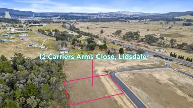 Residential Block For Sale - NSW - Lidsdale - 2790 - Build your Lidsdale Dream  (Image 2)