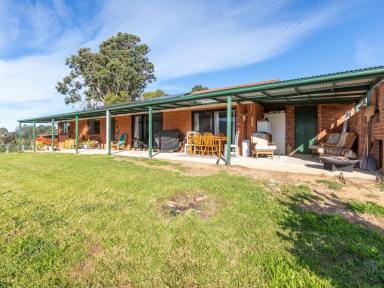 House For Sale - NSW - Bemboka - 2550 - STUNNING VIEWS - MOVE IN READY  (Image 2)