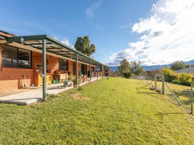 House Sold - NSW - Bemboka - 2550 - STUNNING VIEWS - MOVE IN READY  (Image 2)