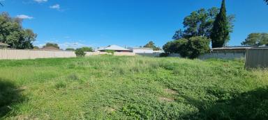 Residential Block For Sale - VIC - Swan Hill - 3585 - Affordable Land / Investment opportunity.  (Image 2)