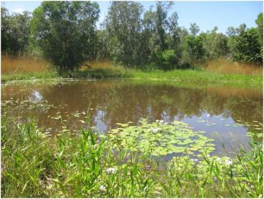 Residential Block For Sale - NT - Acacia Hills - 0822 - Darwin Rural Land starting with Acacia Hills living the dream could soon be your reality options include 5 Acres up to 325 Acres.  (Image 2)