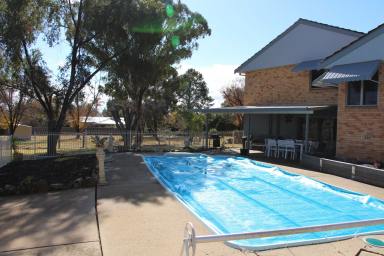 Acreage/Semi-rural For Sale - NSW - Inverell - 2360 - Town and Country Living At its Best  (Image 2)
